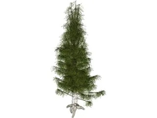 Needle Tree 3D Model