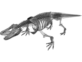 Komodo Dragon Skeleton 3D Model