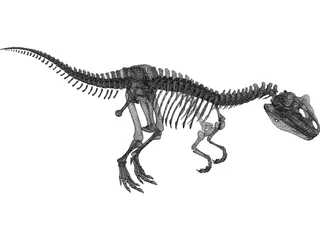 Allosaurus Skeleton 3D Model