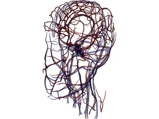 Systemic Circulation of Head 3D Model