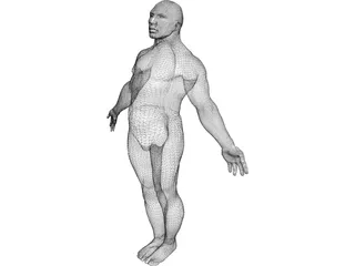 Male Body 3D Model