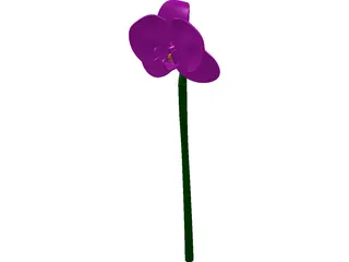 Orchid Flower 3D Model