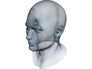 Human Face 3D Model