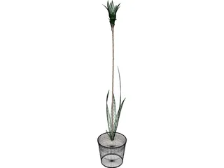 Potted Plant 3D Model