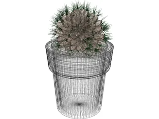 Potted Cactus Plant 3D Model