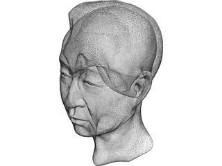 Old Chinaman Head 3D Model