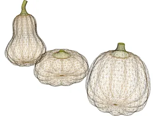 Squash 3D Model