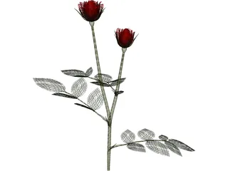 Red Rose 3D Model