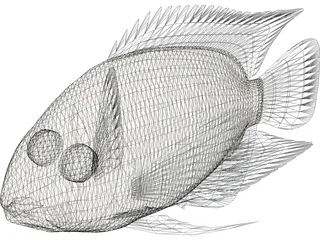 Cichlid 3D Model