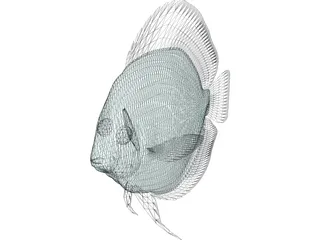 Discus 3D Model