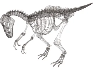 Dinosaur Skeleton 3D Model