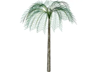 Tree Palm Tropical 3D Model