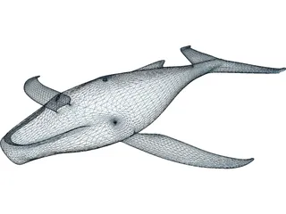 Whale Funny 3D Model