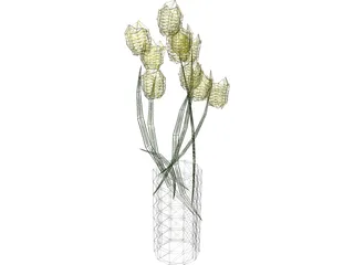 Tulips In Vase 3D Model