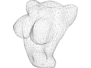 Torso Female Busty 3D Model