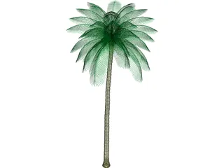 Palm Tree 3D Model