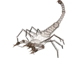 Scorpion 3D Model