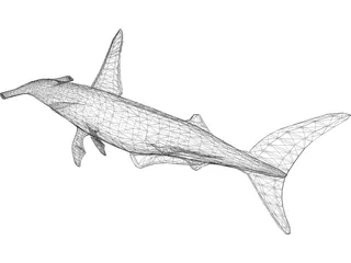 Shark 3D Model