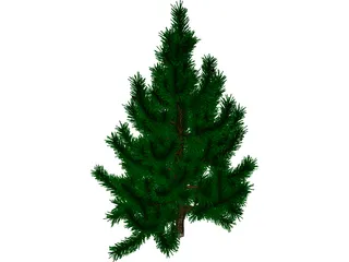 Tree 3D Model