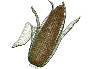 Corn 3D Model