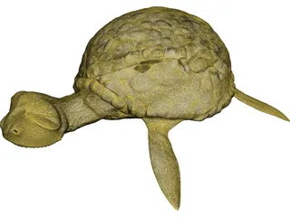 Cartoon Turtle 3D Model