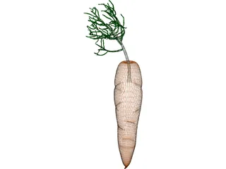 Carrot 3D Model