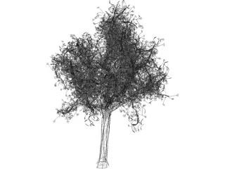 Tree 3D Model