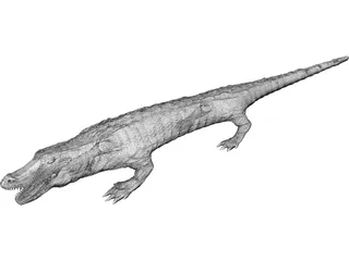 Crocodile 3D Model