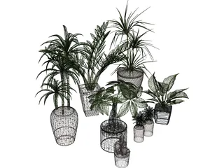 House Plant Collection 3D Model