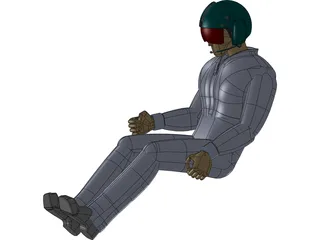 Pilot 3D Model