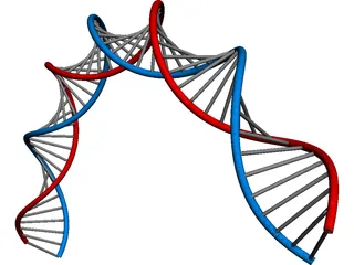 DNA 3D Model