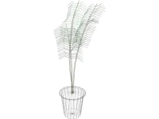 Potted Fern 3D Model