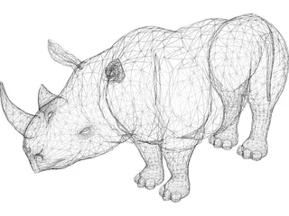 Rhino 3D Model