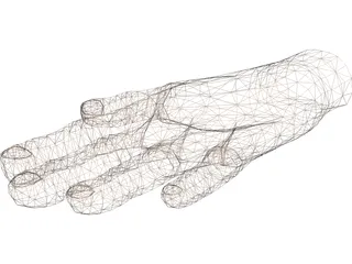 Hand 3D Model