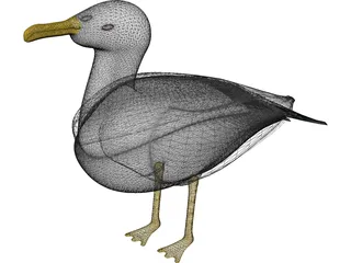 Seagull Standing 3D Model