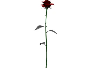 Rose 3D Model