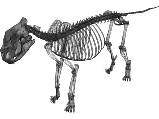 Lion Skeleton 3D Model