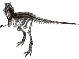 Dinosaur Skeleton 3D Model