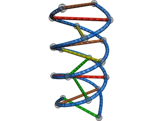 DNA Strand 3D Model