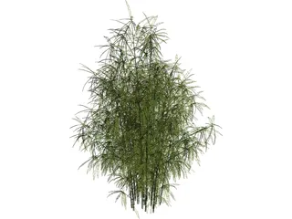 Bamboo Cluster Small 3D Model