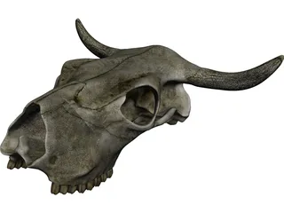 Cow Skull 3D Model