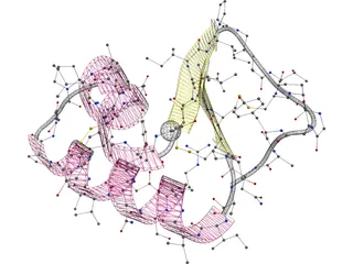 Protein Molecule 3D Model