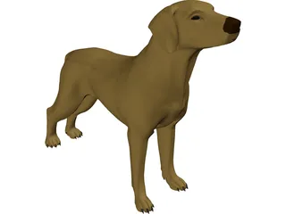 Dog Braco 3D Model