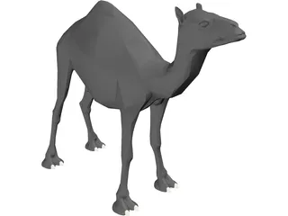 Dromedary 3D Model