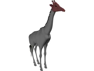 Giraffe 3D Model