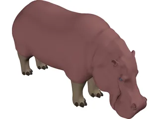 Hippopotamus 3D Model