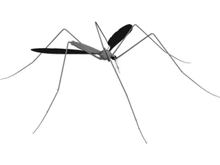 Mosquito 3D Model