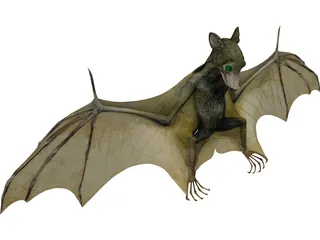 Bat 3D Model