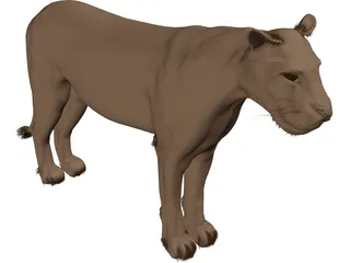 Lioness 3D Model