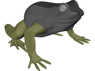 Frog 3D Model